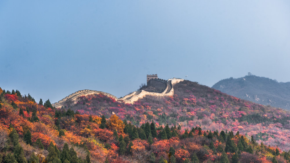 缤纷四季－长城红叶